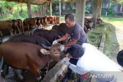 Pemprov Bengkulu imbau waspada penyakit ternak saat anomali cuaca 2024