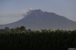 BPBD Sleman tingkatkan kapasitas mitigasi bencana warga lereng Merapi