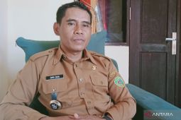 BUMDes Sidorejo kelola pertanian tingkatkan  produksi-ekonomi petani