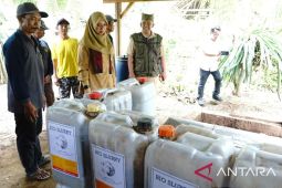Peternak Banyuwangi manfaatkan kotoran ternak jadi biogas