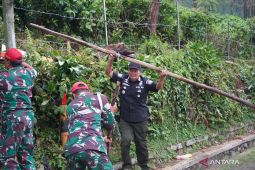 Pemkab Bogor bersihkan sisa-sisa puing bekas lapak PKL di Kawasan Wisata Puncak