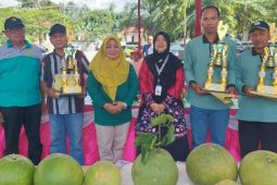 Pemkab Magetan promosikan jeruk pamelo melalui "Kontes Pamelo 2024"