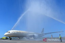 Etihad hentikan sementara semua penerbangan dari dan menuju Abu Dhabi