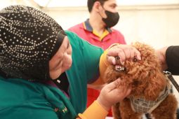 Cegah penularan, Pemkot Madiun gelar vaksinasi hewan pembawa virus rabies