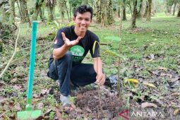 Pemuda Kalbar gelorakan gerakan menanam satu pohon untuk Indonesia