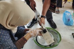 Nature Community berdayakan warga SBT kelola limbah sampah jadi bernilai ekonomi