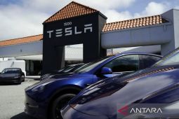 Rosan: Listrik berbasis fosil jadi alasan Tesla urung investasi di RI
