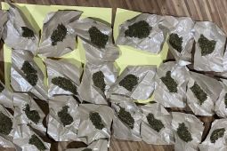 Polres Serang tangkap seorang pengedar ganja