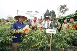 Pemkot Batu berupaya tekan inflasi komoditas cabai