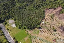 Satu peta hutan tertibkan lahan sawit