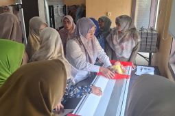Dinkes Kota Tangerang latih kader posyandu pengukuran pertumbuhan balita