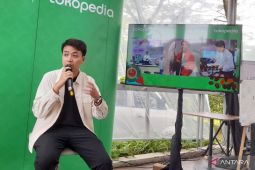 Keistimewaan kopi ekselsa, kopi bercita rasa manis dari Jabar