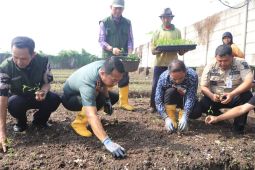 Hasil panen cabai warga dipasarkan ke pasar induk Tanah Tinggi