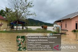 Ratusan hektare sawah di Konawa Sultra terendam banjir