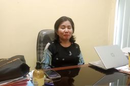 Produksi lada Belitung menurun sepanjang 2023
