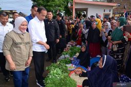 Jokowi bersama Iriana kunjungi Pasar Bulukumba belanja buah dan sayur