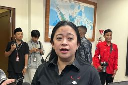 Puan lirik Nadiem Makarim-Pramono Anung maju Pilkada DKI Jakarta