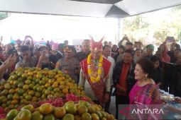 Pemkab Karo bagikan satu  ton jeruk gratis untuk wisatawan