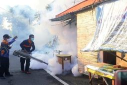 Pemkot Madiun catat 504 kasus DBD hingga pertengahan 2024