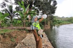 Dari BUD ke ASN, Leni Jadi Analis Sumber Daya Air