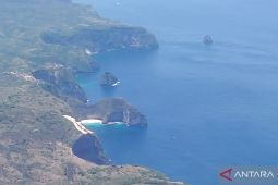 Restorasi dan kuota demi hidup terumbu karang di Nusa Penida