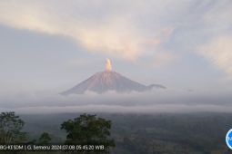 Semeru kembali erupsi dengan tinggi letusan hingga 800 meter