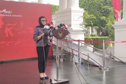 Jokowi-Grand  Syekh Al Azhar bahas bilateral RI-Mesir hingga perdamaian
