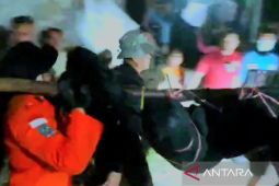 Korban meninggal 23 orang akibat longsor tambang di Gorontalo