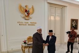Ma'ruf Amin terima kunjungan Grand Syekh Al Azhar