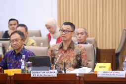 PLN ajukan Rp3 Triliun PMN 2025 untuk kelistrikan daerah terpencil