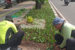 Jakbar tata jalur hijau sepanjang 400 meter di Jalan Kyai Tapa