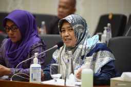 Komisi IX DPR minta Kemenkes segera atasi masalah harga obat mahal