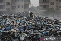 Kelaparan global tetap di tingkat yang hampir sama selama 3 tahun