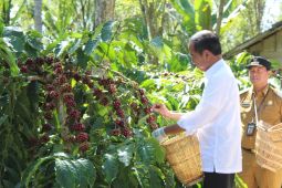 Industrialisasi dan hilirisasi untuk semua komoditas perkebunan-pertanian, pesan Presiden