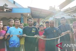 Tim Damkar tangkap ular kobra 2,5 meter masuk gudang warga di Bangka