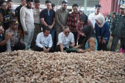 Mendag lepas ekspor pinang asal Jambi ke Arab Saudi dan Bangladesh