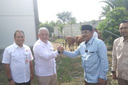 SKK-Migas PetroChina Serahkan Bantuan 29 Ekor Sapi ke Kelompok Tani di Kualatungkal Tanjab Barat