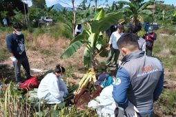Petugas BKSDA Kalbar bedah bangkai orangutan