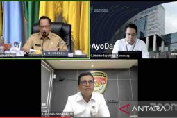 Inflasi umum terus melambat, sebut Ekonom