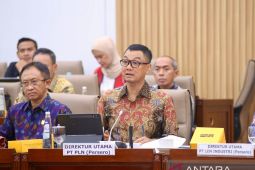 PLN ajukan Rp3 triliun PMN 2025 untuk bangun kelistrikan daerah terpencil
