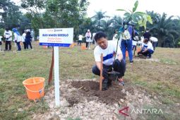 Pupuk Kaltim tanam 634 ribu pohon program Community Forest