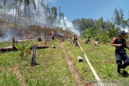 BPBA: Karhutla terjadi di Aceh Besar dan Bener Meriah di tengah musim kemarau