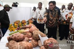 Mendes: Program TEKAD jadi solusi memajukan kampung-kampung