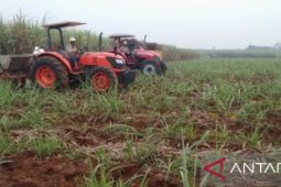 Petani penggarap di Subang kebingungan karena diusir dari lahan garapannya