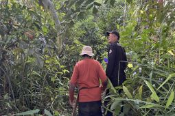 Kamera trap di Pulau Hanibung rekam kemunculan berbagai satwa