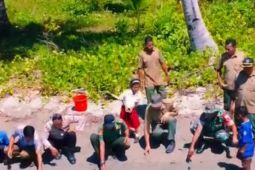 Balai TN Manusela lepasliarkan sepuluh ekor penyu sisik dilindungi