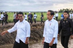 Mentan terapkan pertanian modern di Merauke