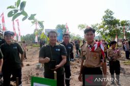 PT Timah dukung "Semarak Babel" kurangi lahan kritis di Bangka Belitung