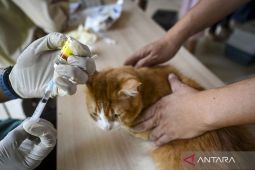 DKP3 Sukabumi targetkan 1.200 hewan dapatkan vaksinasi antirabies