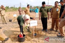 Bangka Selatan tanam 1.243 pohon di lahan kritis